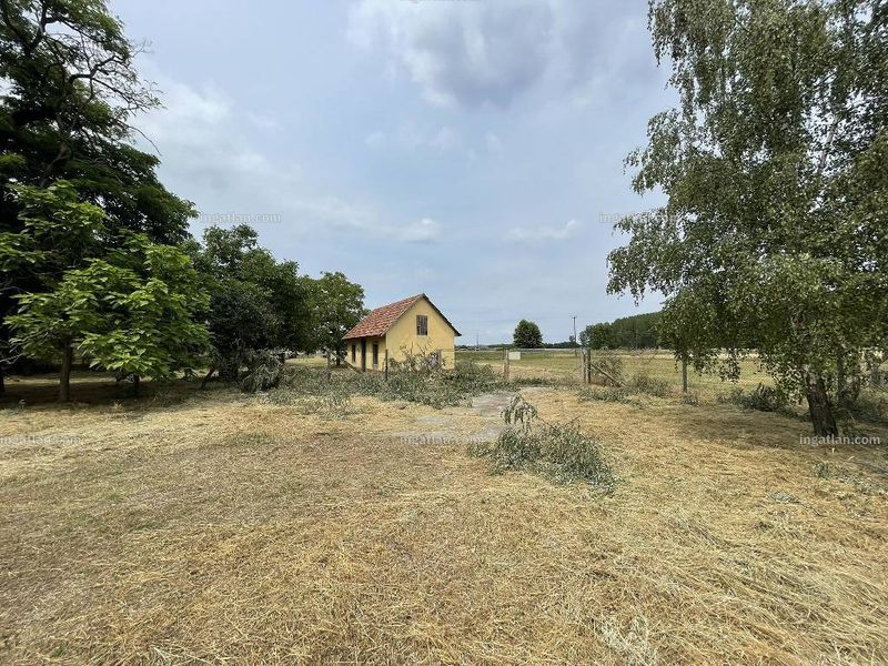 Ingatlan kép