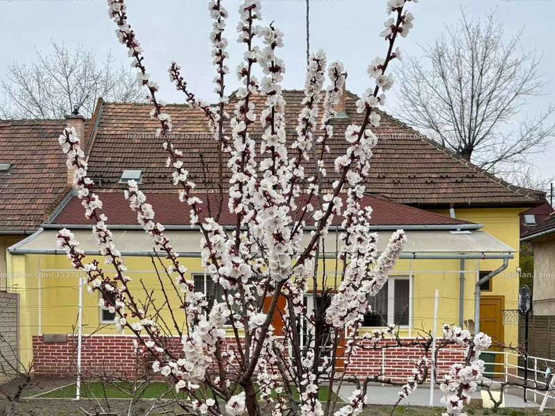 Ingatlan kép