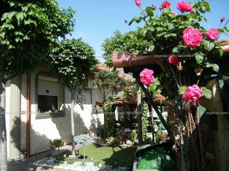 Ingatlan kép