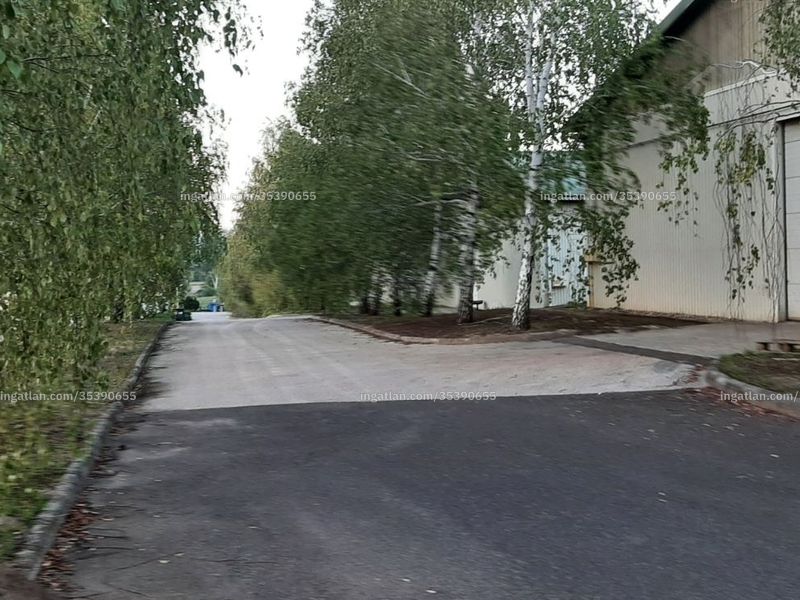 Ingatlan kép