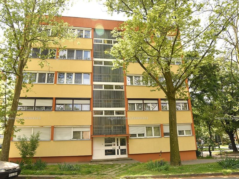 Ingatlan kép