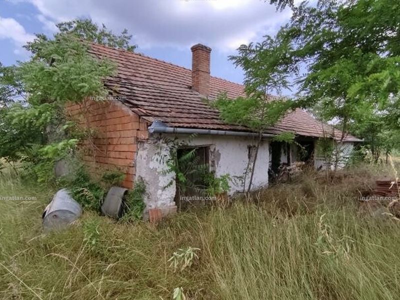 Ingatlan kép