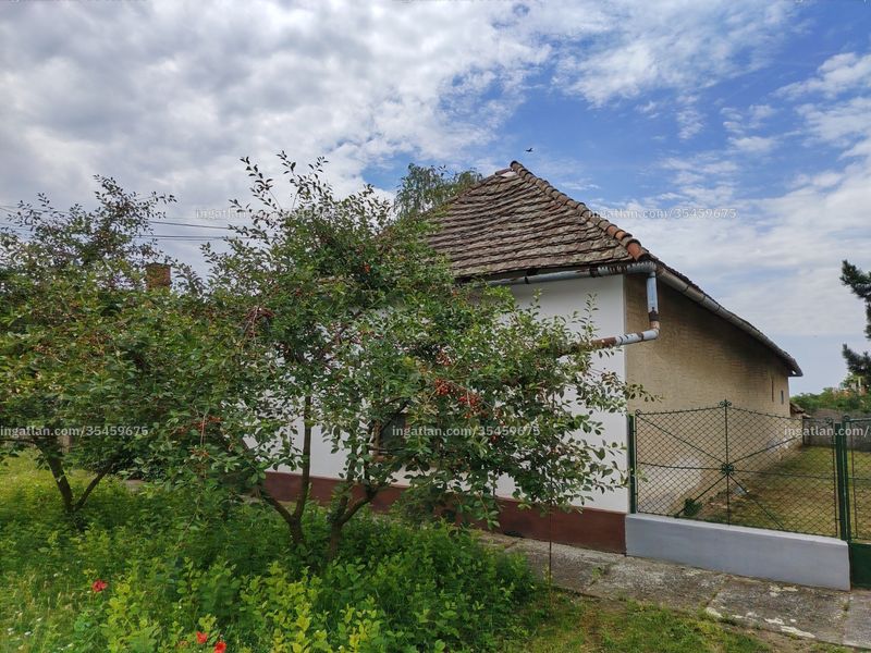 Ingatlan kép