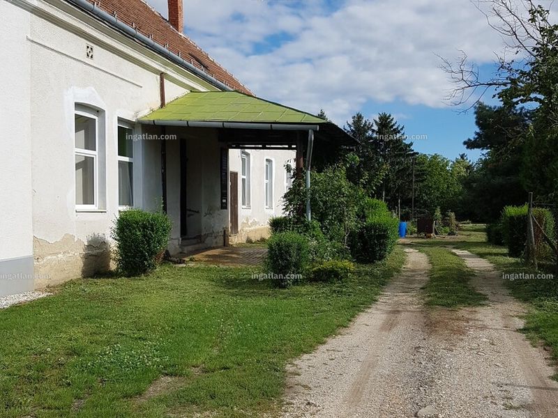 Ingatlan kép