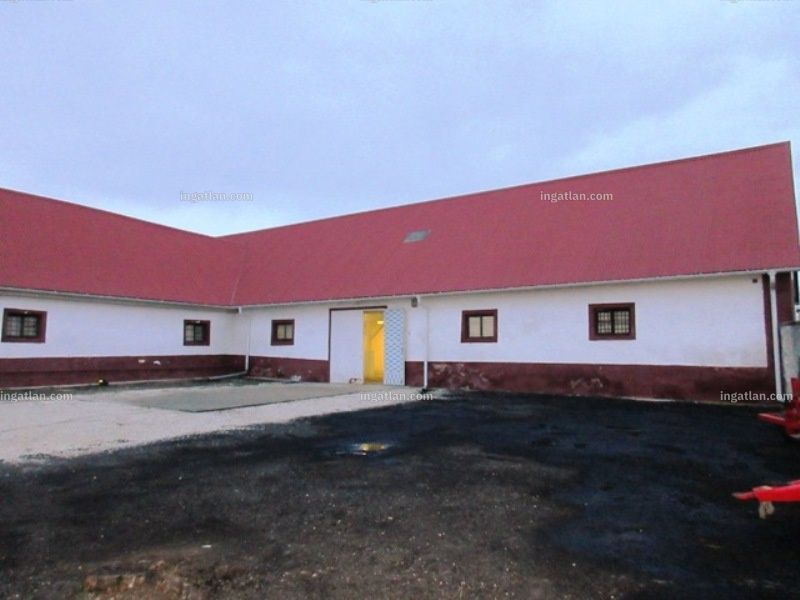 Ingatlan kép