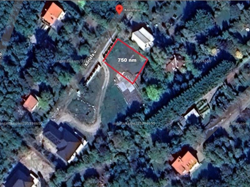 Ingatlan kép