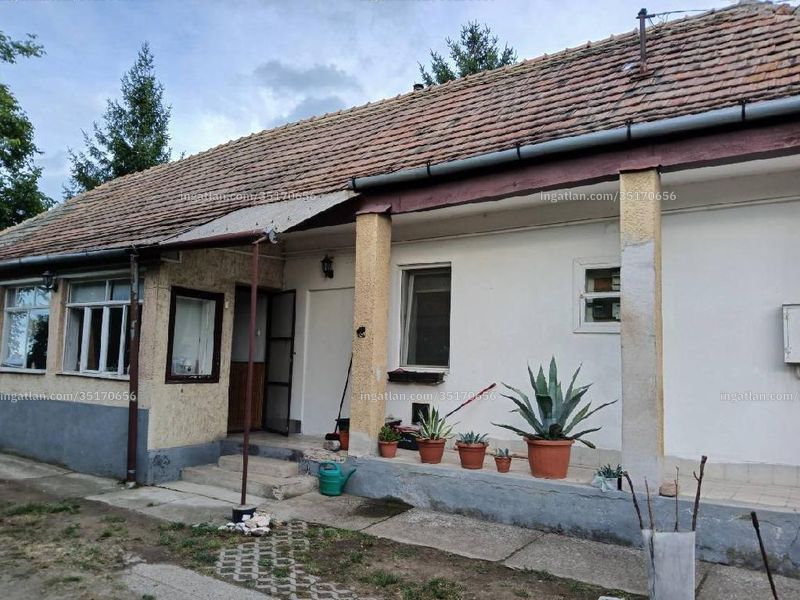 Ingatlan kép