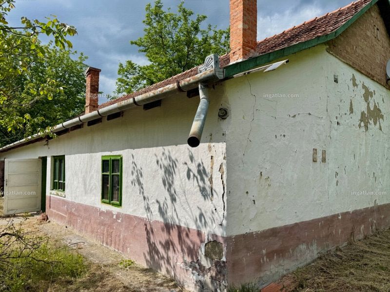 Ingatlan kép