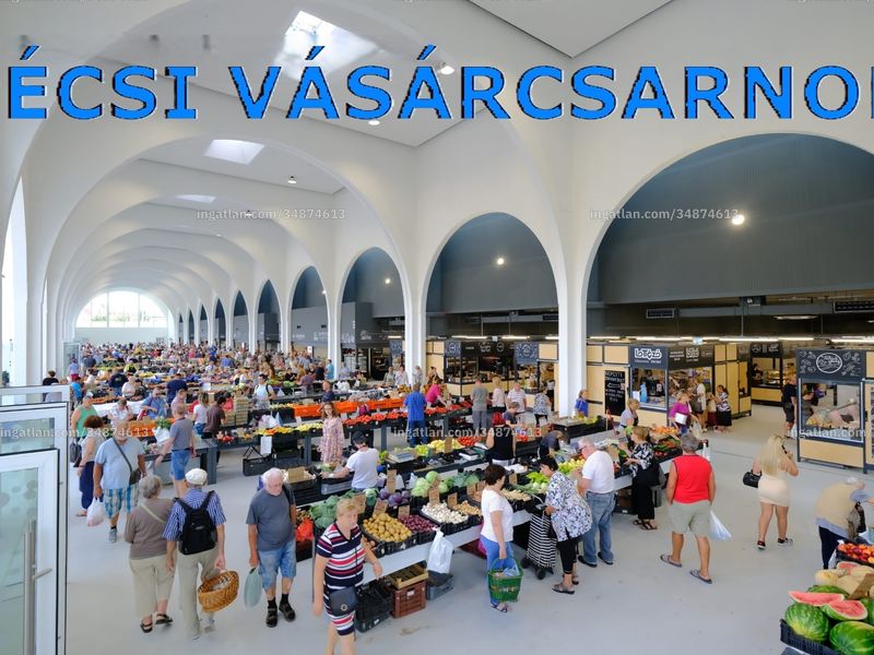 Ingatlan kép