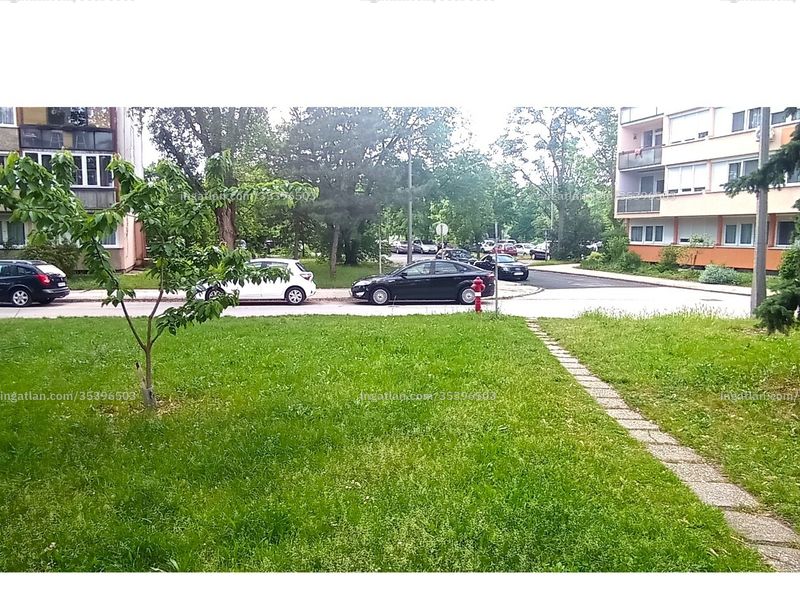Ingatlan kép