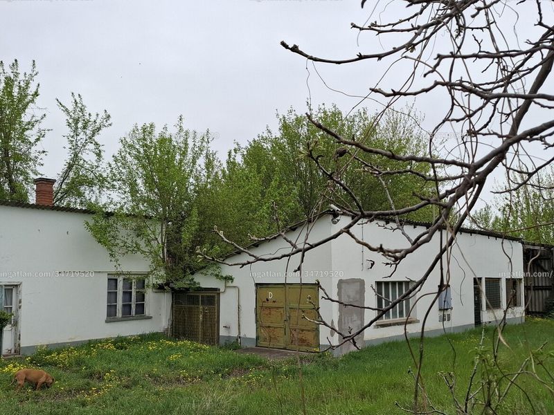 Ingatlan kép