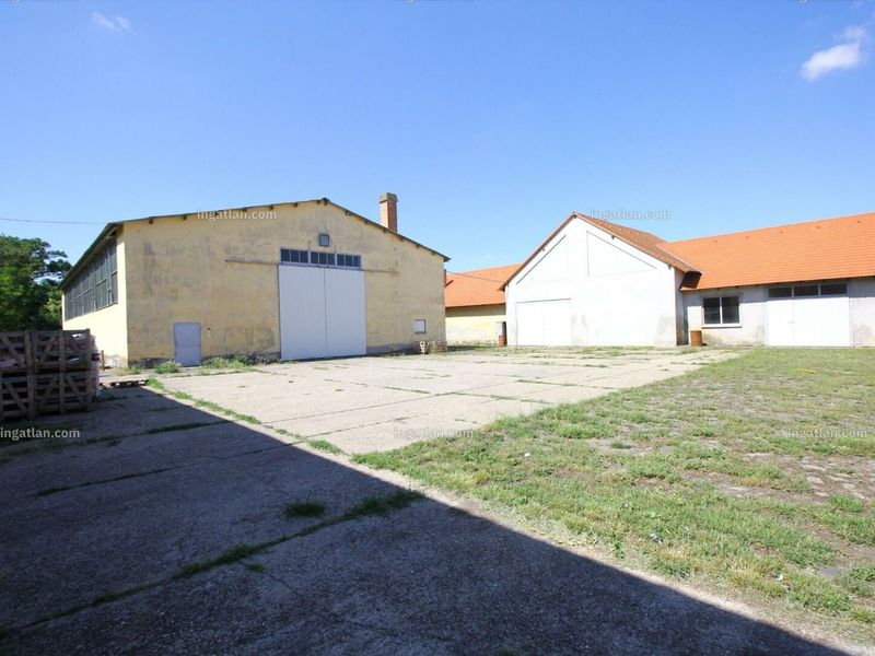 Ingatlan kép
