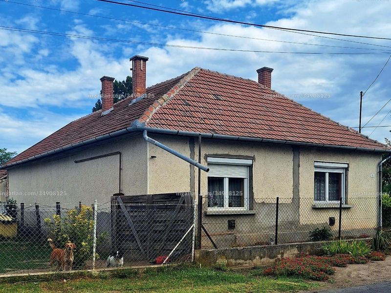 Ingatlan kép