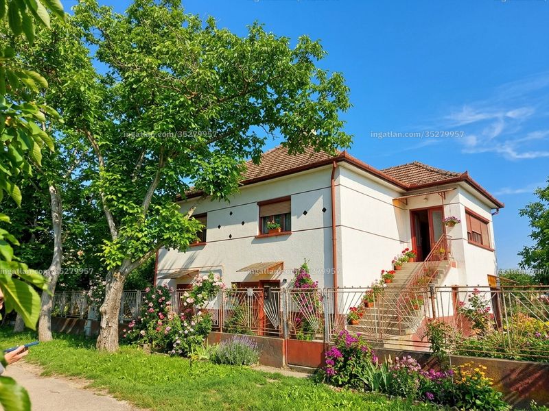 Ingatlan kép