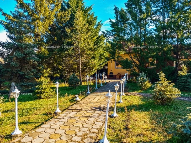 Ingatlan kép
