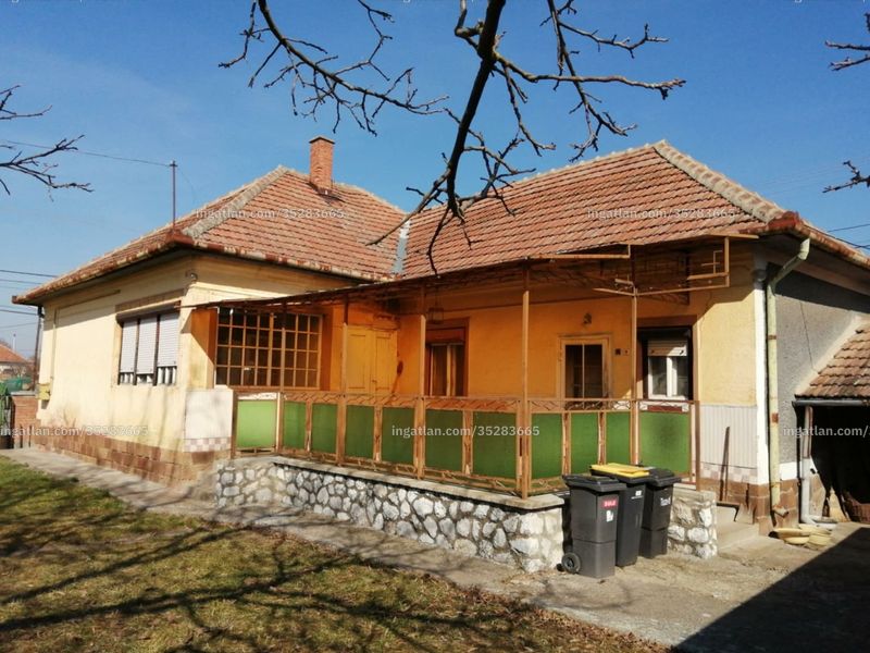 Ingatlan kép