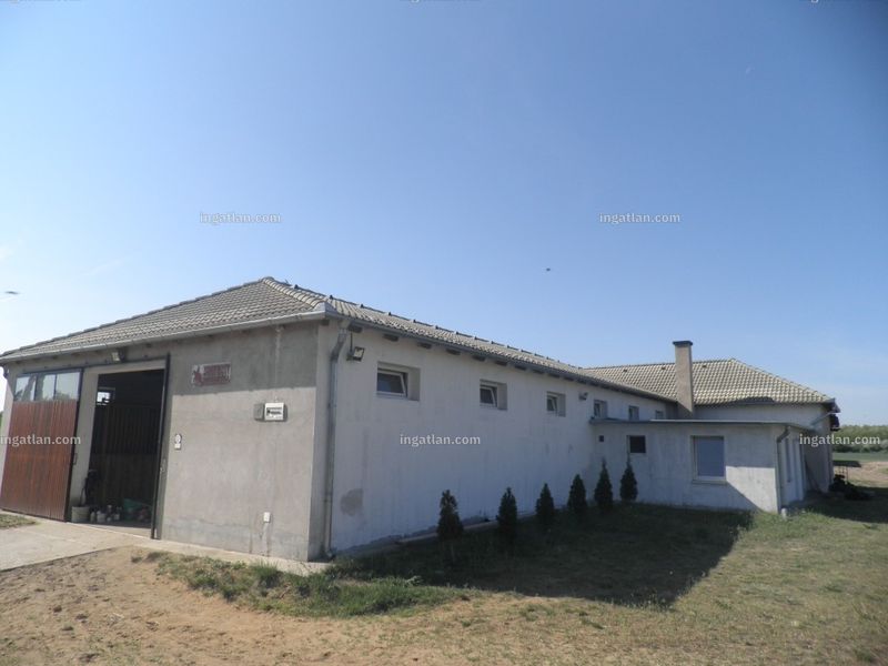 Ingatlan kép