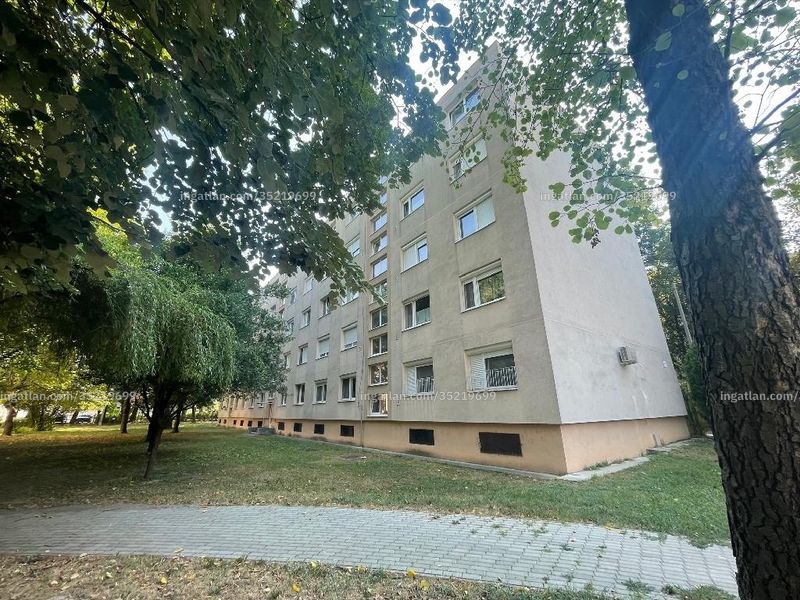 Ingatlan kép