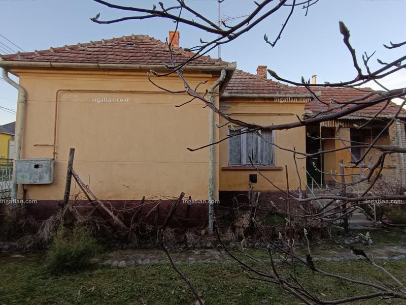 Ingatlan kép