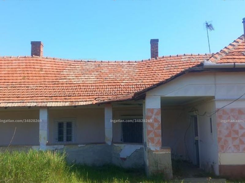 Ingatlan kép