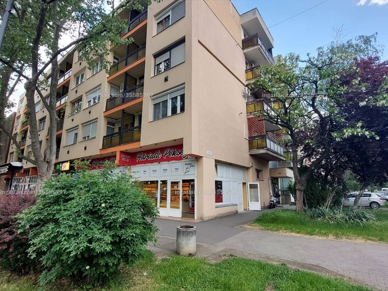 Ingatlan kép