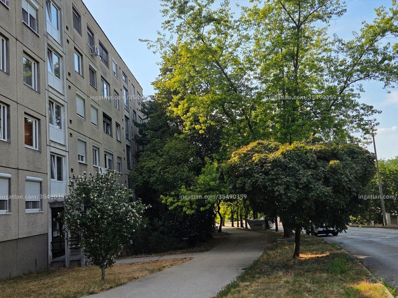 Ingatlan kép
