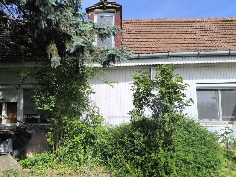 Ingatlan kép