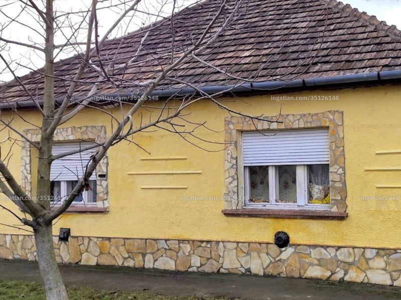 Ingatlan kép