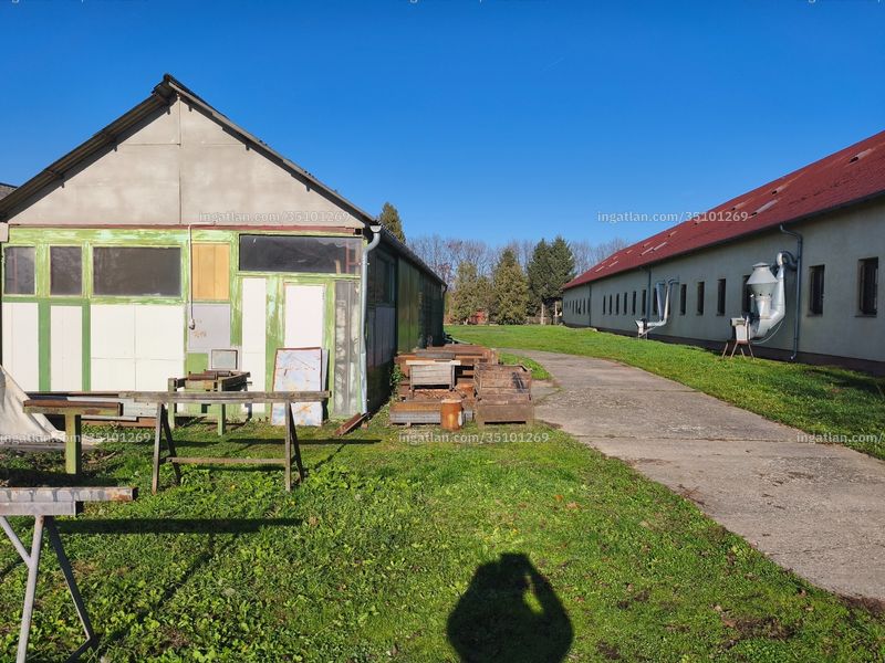Ingatlan kép