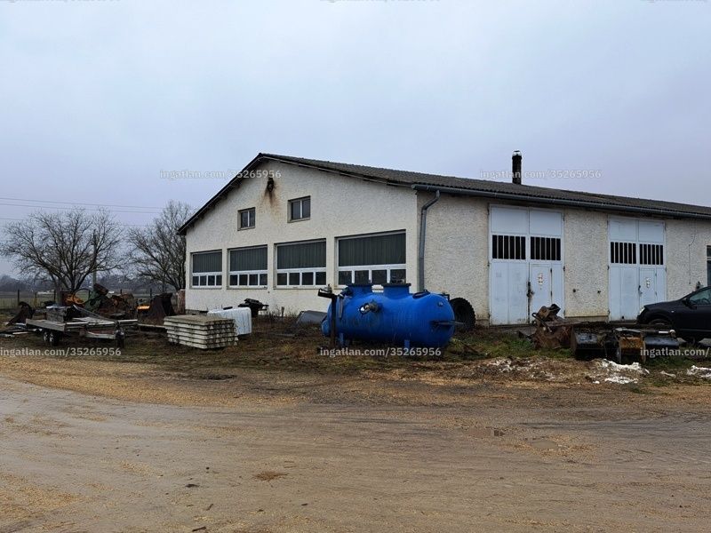 Ingatlan kép