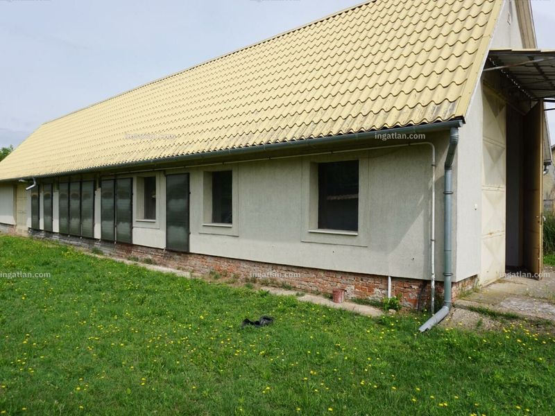 Ingatlan kép
