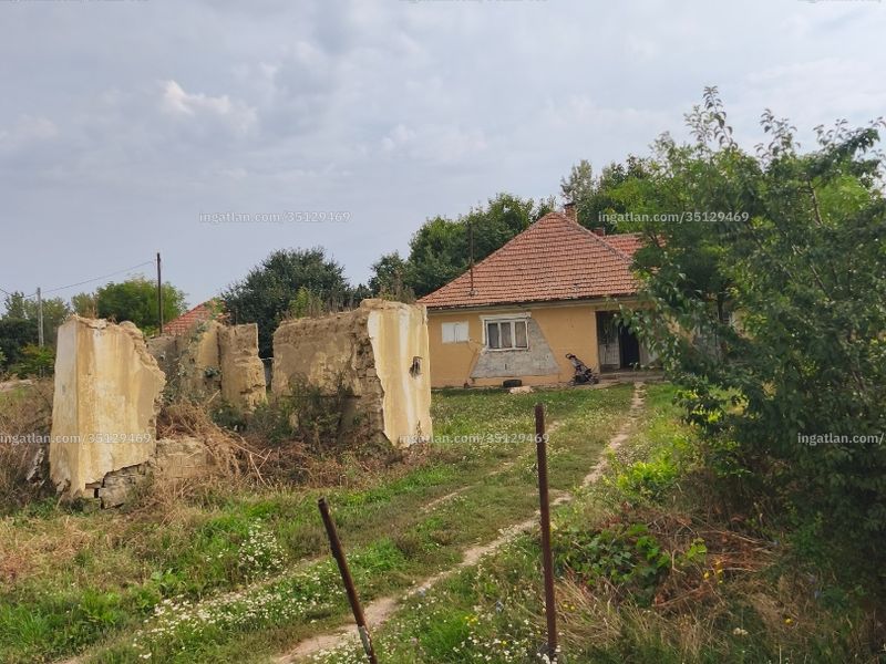 Ingatlan kép