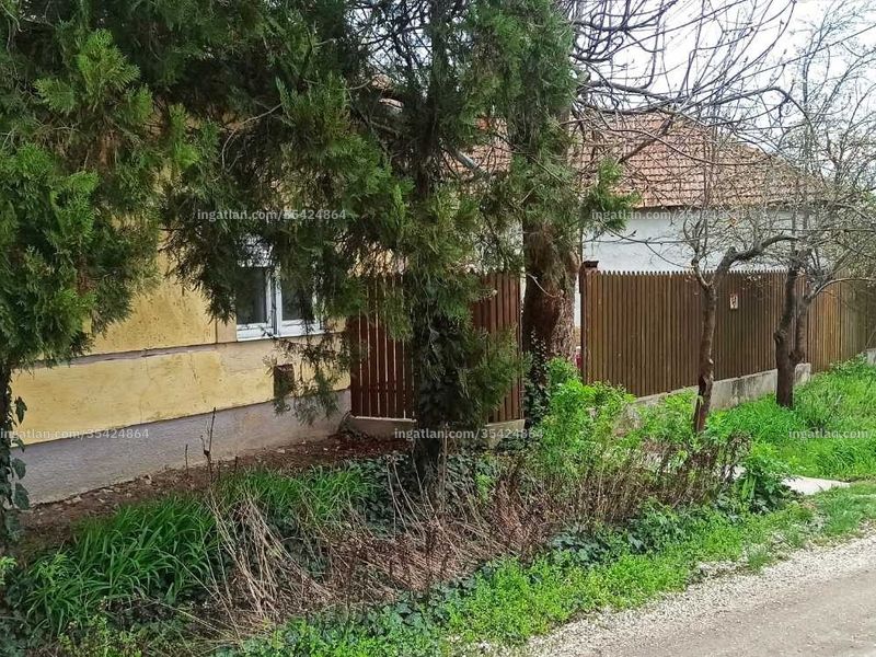 Ingatlan kép