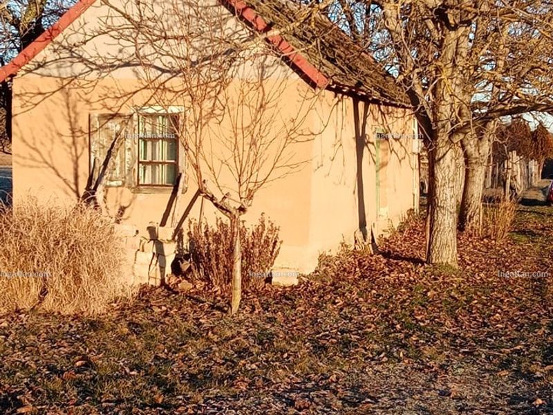 Ingatlan kép