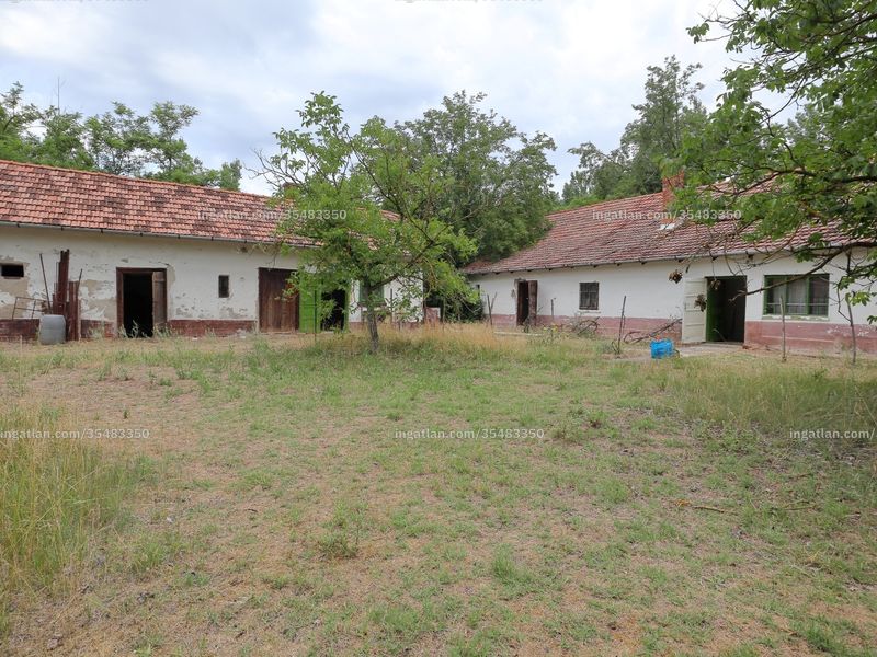 Ingatlan kép