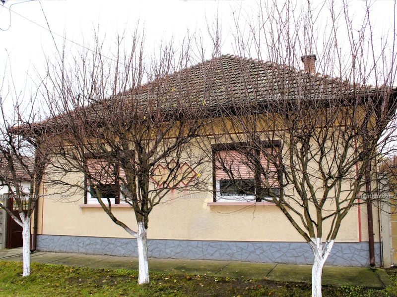 Ingatlan kép