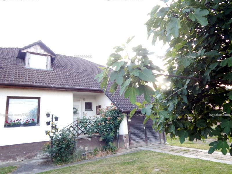 Ingatlan kép