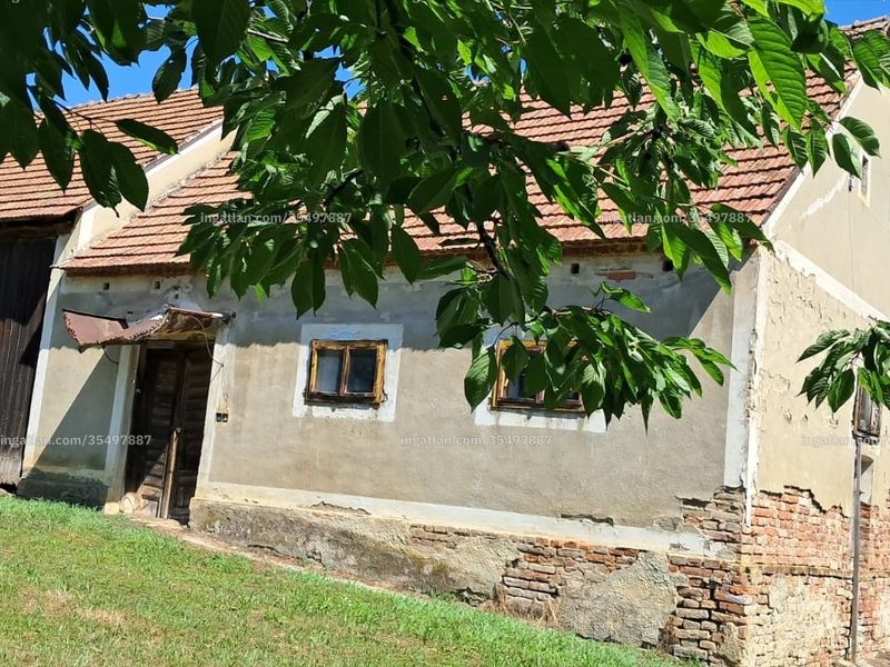 Ingatlan kép