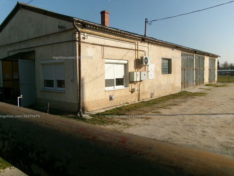 Ingatlan kép