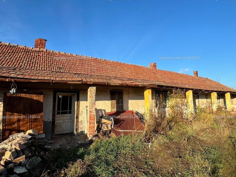 Ingatlan kép