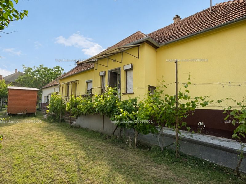 Ingatlan kép