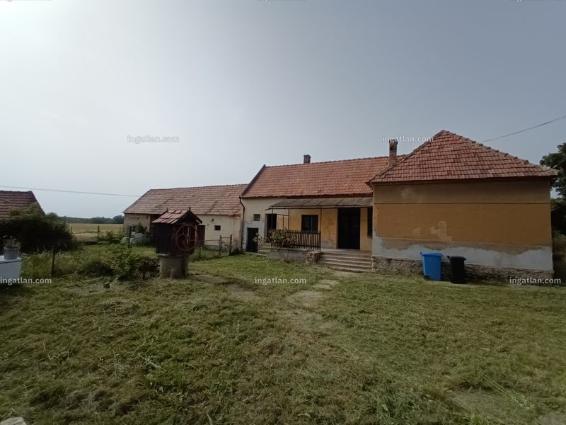 Ingatlan kép
