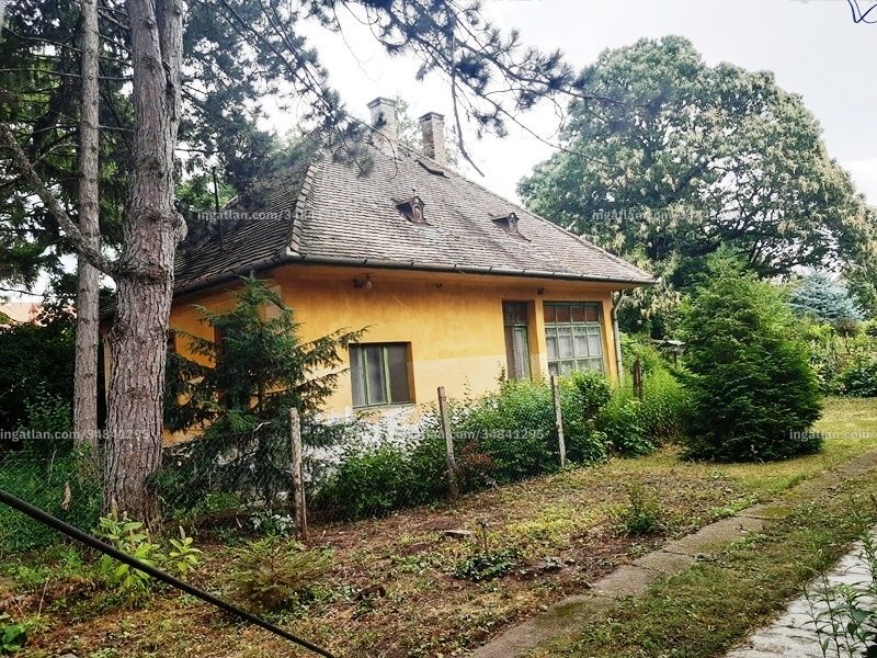 Ingatlan kép