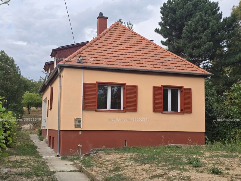 Ingatlan kép