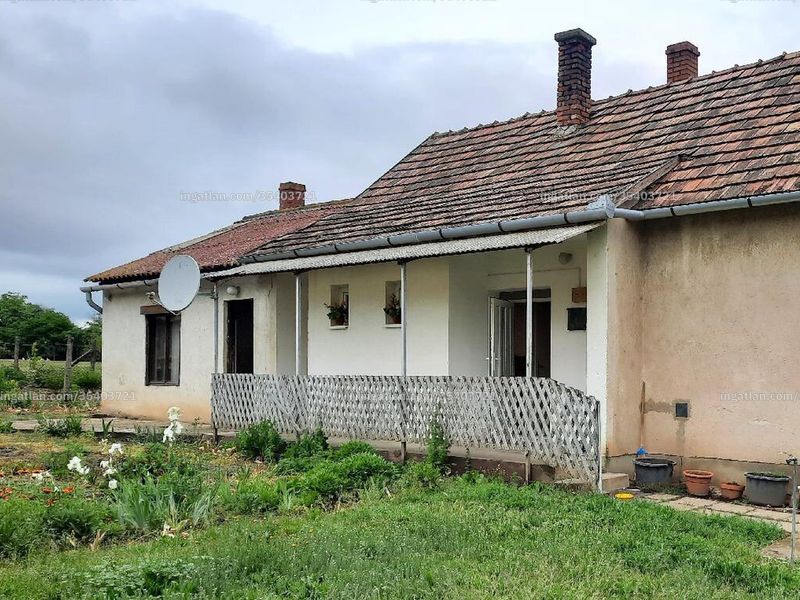 Ingatlan kép