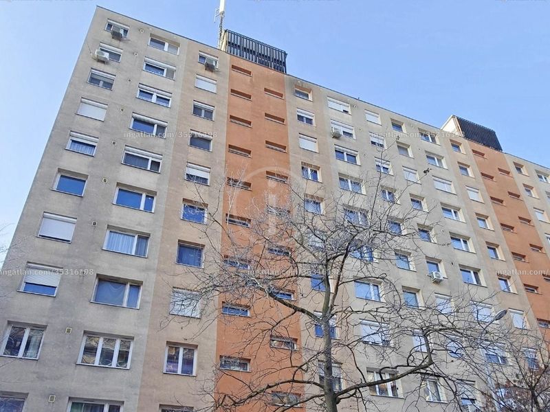 Ingatlan kép
