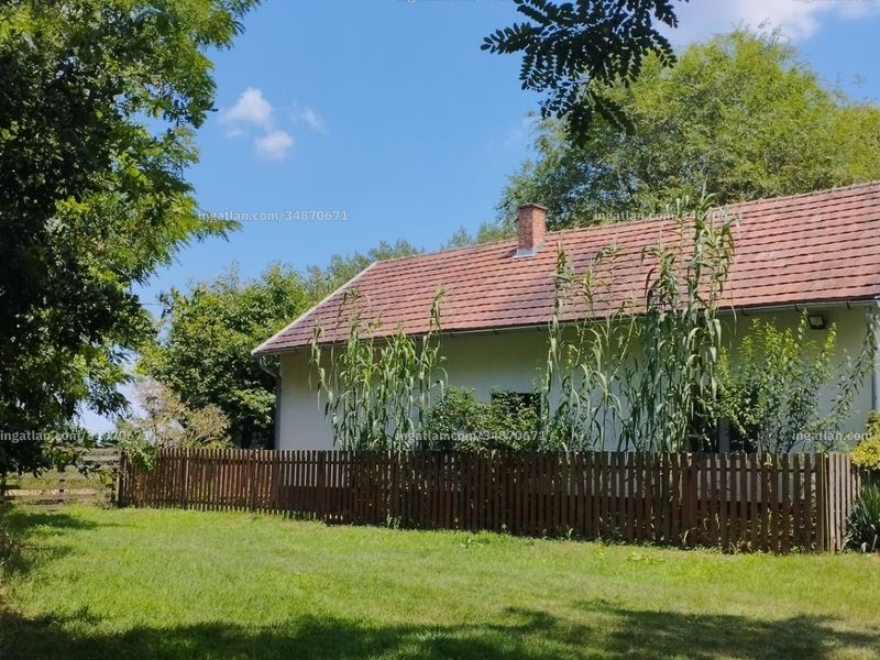 Ingatlan kép