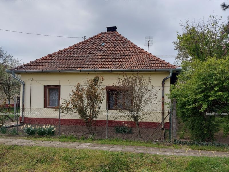 Ingatlan kép