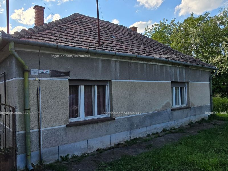 Ingatlan kép