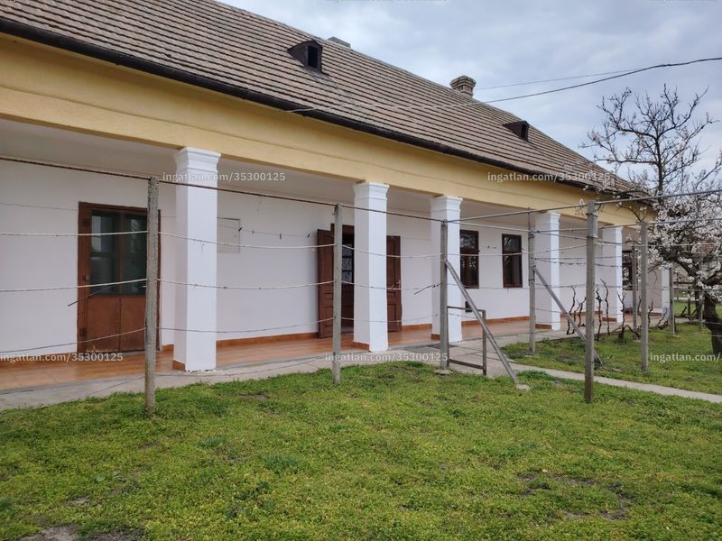 Ingatlan kép